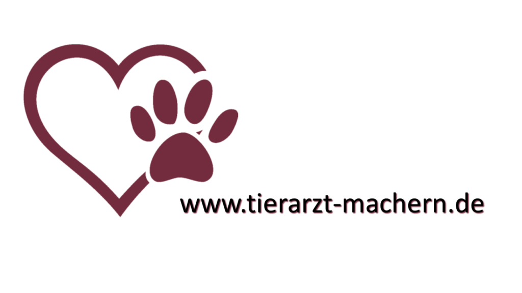 Kleintierpraxis „Villa Luise“, Machern